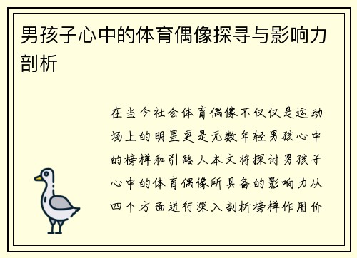 男孩子心中的体育偶像探寻与影响力剖析