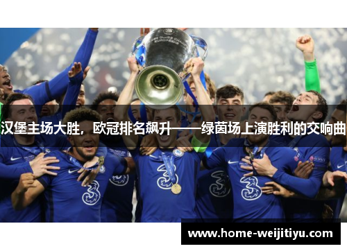 汉堡主场大胜，欧冠排名飙升——绿茵场上演胜利的交响曲