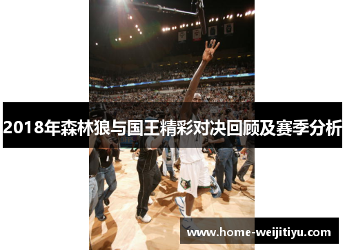 2018年森林狼与国王精彩对决回顾及赛季分析