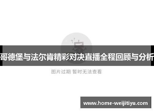 哥德堡与法尔肯精彩对决直播全程回顾与分析